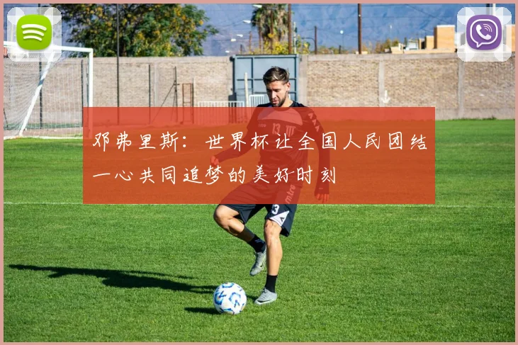邓弗里斯：世界杯让全国人民团结一心共同追梦的美好时刻